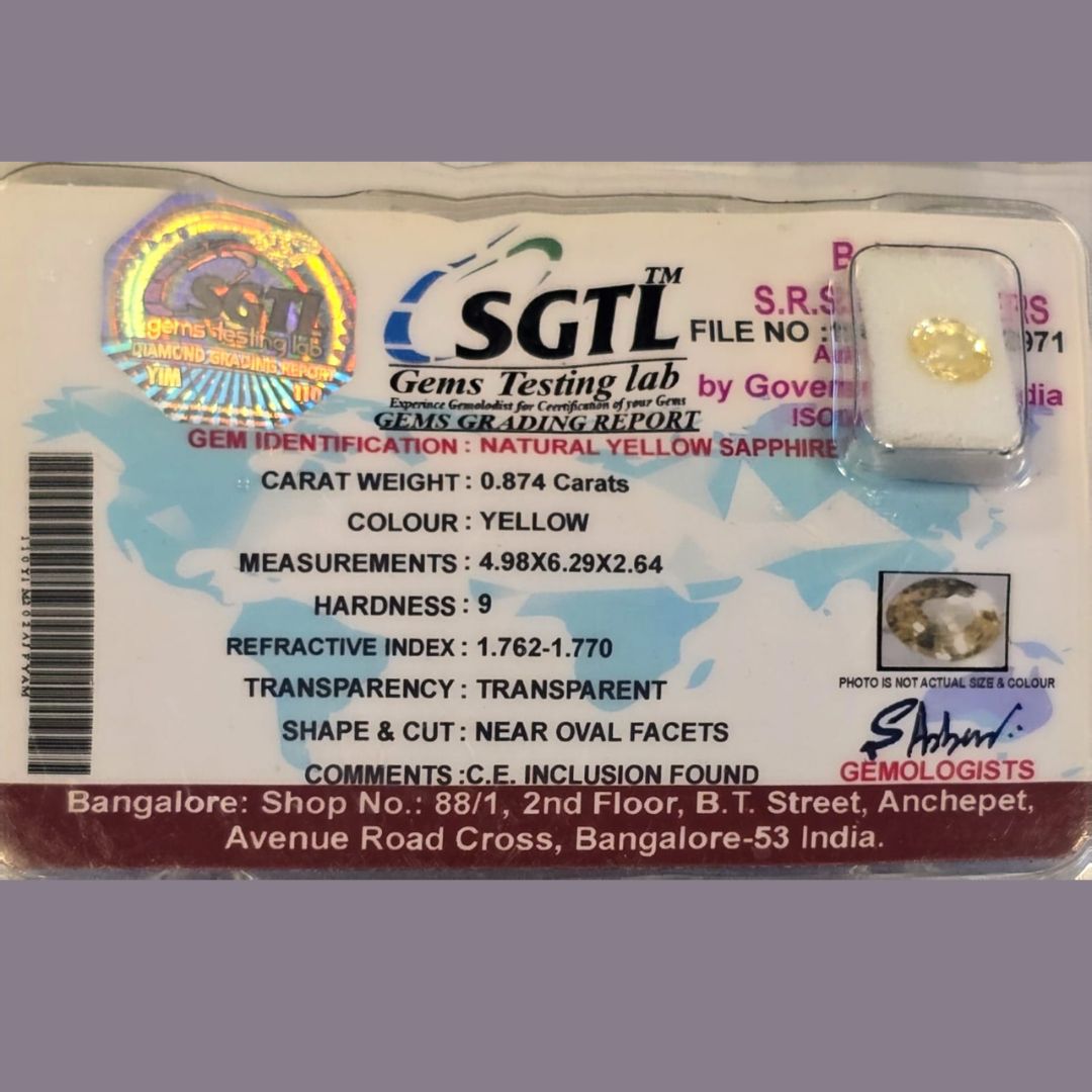 Untitled design (26)